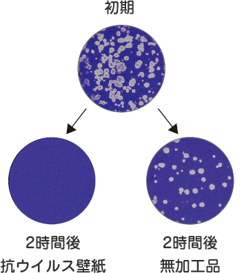 ウイルスA（エンベロープあり）イメージ図