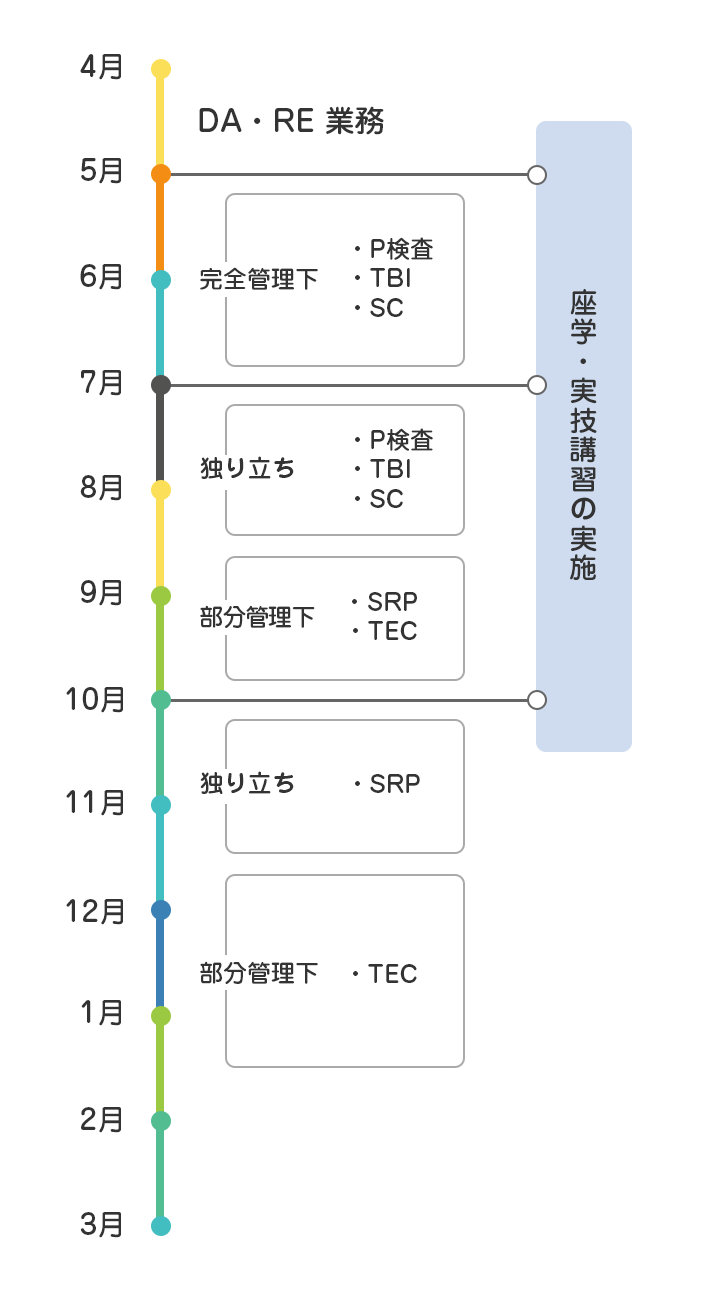新卒入職の場合のスケジュール例